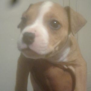 Meet your Posher, Ron